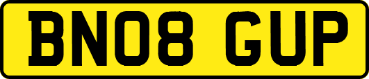 BN08GUP