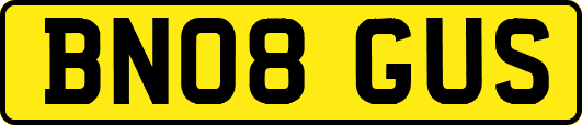 BN08GUS