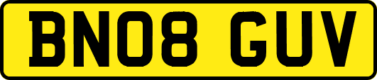 BN08GUV
