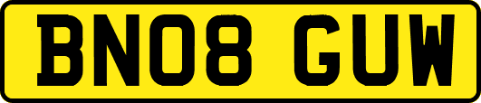 BN08GUW
