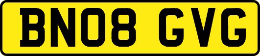BN08GVG