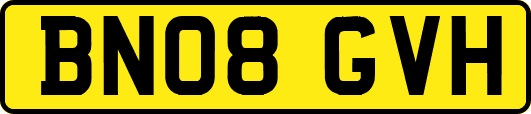 BN08GVH