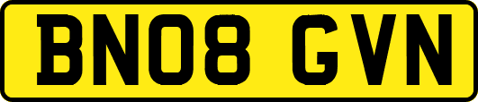BN08GVN