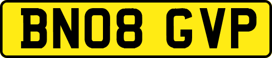 BN08GVP