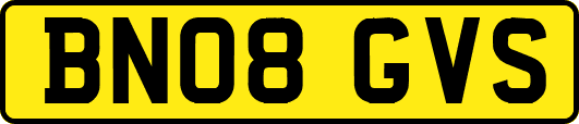 BN08GVS