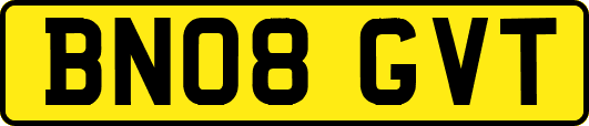 BN08GVT