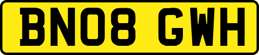 BN08GWH