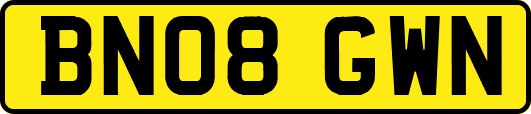 BN08GWN