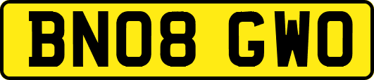 BN08GWO