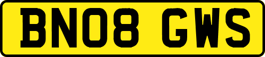 BN08GWS