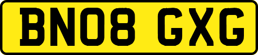 BN08GXG