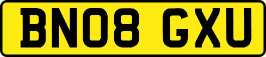 BN08GXU