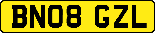 BN08GZL