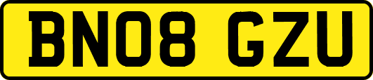 BN08GZU