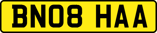 BN08HAA