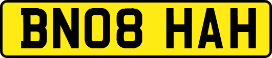 BN08HAH