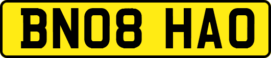 BN08HAO