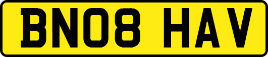 BN08HAV