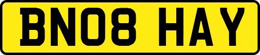 BN08HAY