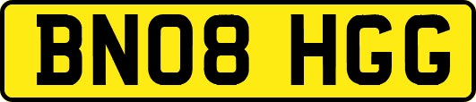 BN08HGG