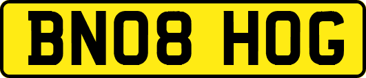 BN08HOG