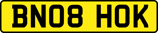 BN08HOK