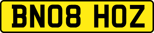 BN08HOZ