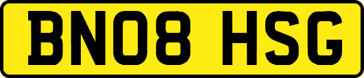 BN08HSG