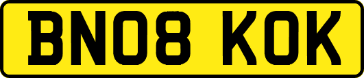BN08KOK