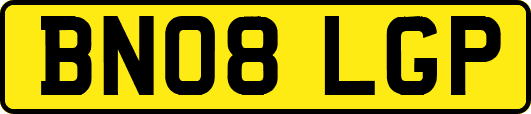 BN08LGP
