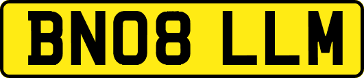 BN08LLM