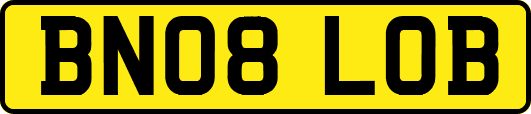 BN08LOB