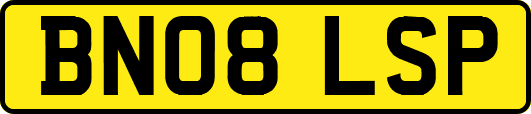 BN08LSP