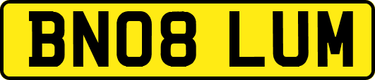 BN08LUM