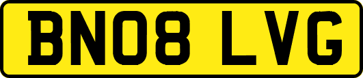 BN08LVG