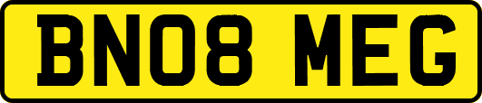 BN08MEG