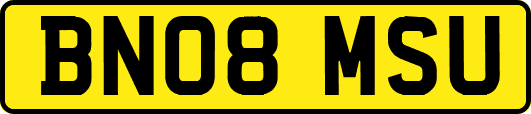 BN08MSU