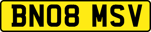 BN08MSV