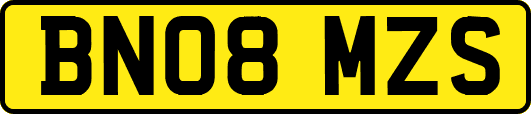 BN08MZS