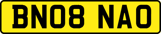 BN08NAO