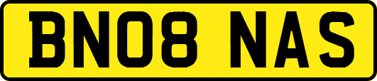 BN08NAS