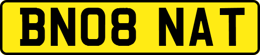 BN08NAT