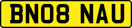 BN08NAU