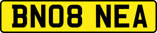 BN08NEA