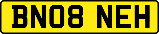 BN08NEH