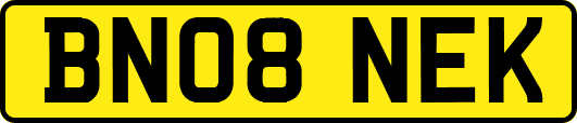 BN08NEK