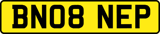 BN08NEP