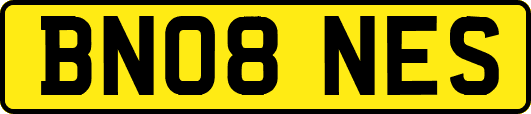 BN08NES