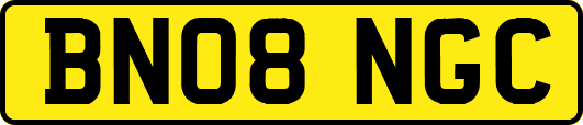 BN08NGC