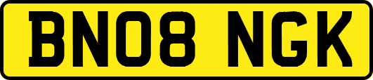 BN08NGK